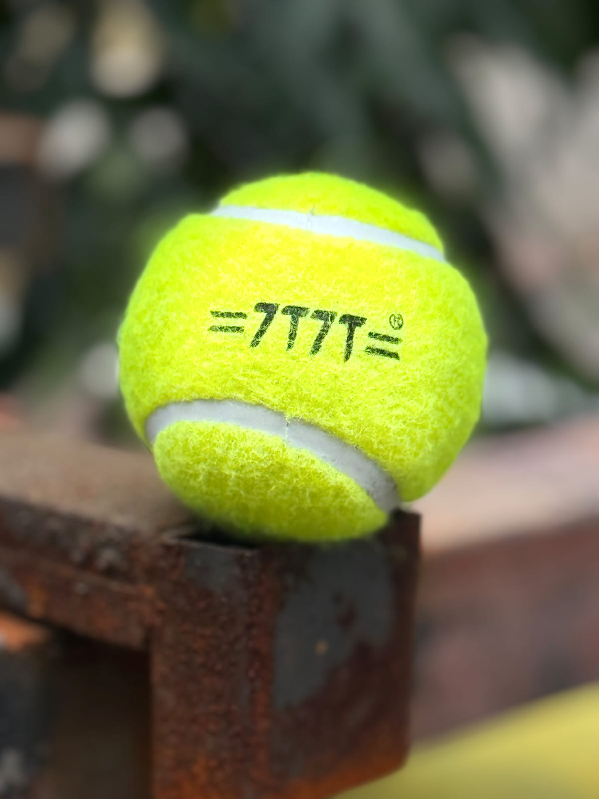 Practice Cricket Ball